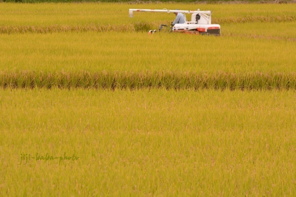 d0239891_06484607.jpg
