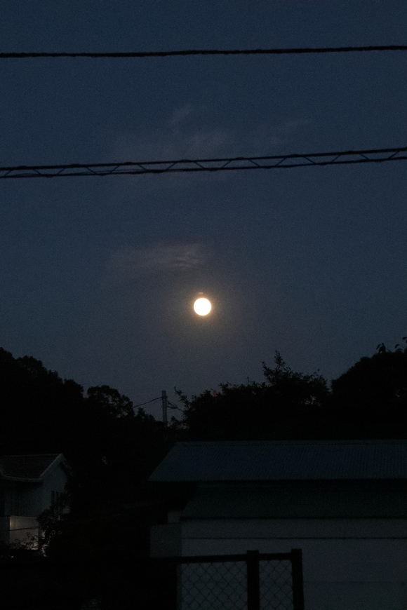 b0275998_785363.jpg
