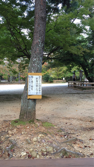d0057701_15131841.jpg