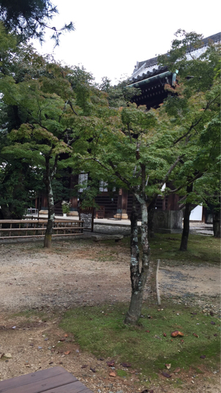 d0057701_15131937.jpg