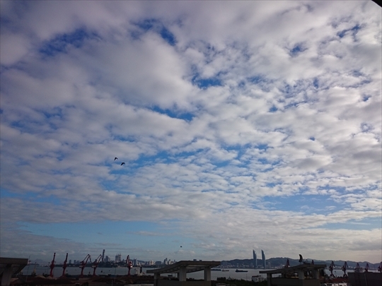 c0153302_19525764.jpg