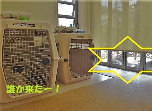 f0121712_12115380.jpg