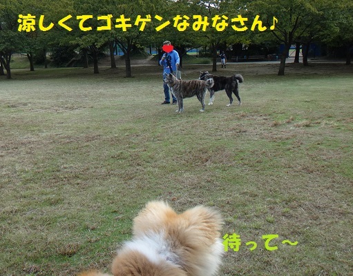 f0121712_17454127.jpg