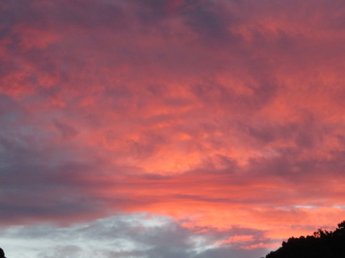 b0344816_14001866.jpeg