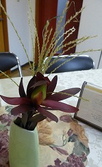 f0037623_17535954.jpg
