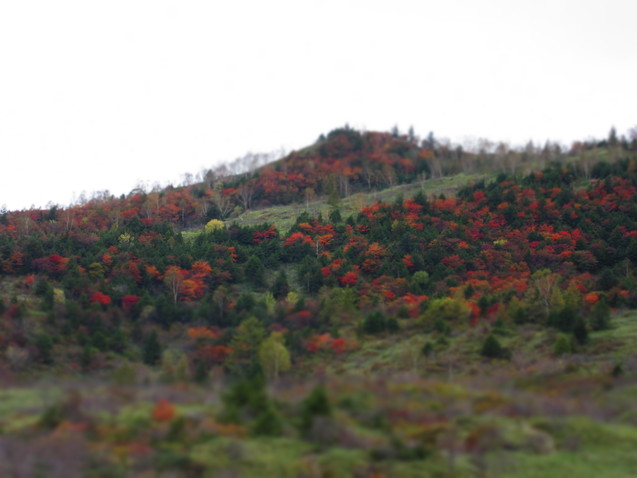 a0248728_15563998.jpg