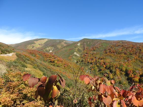 f0118332_020343.jpg