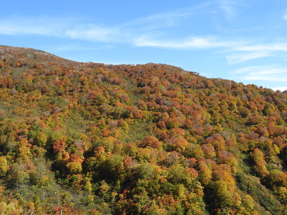 f0118332_0205233.jpg