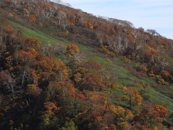 f0118332_0213150.jpg