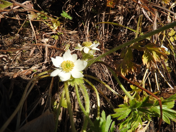 f0118332_0225831.jpg