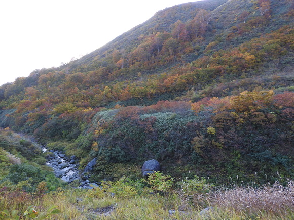 f0118332_0252459.jpg