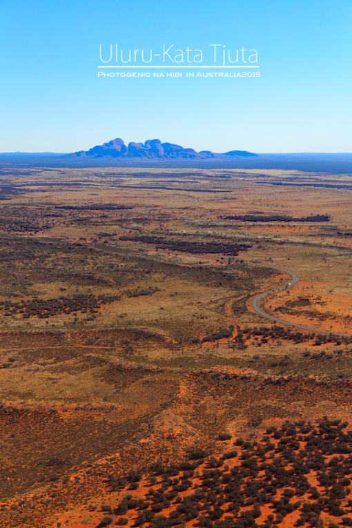 f0368936_23493691.jpg