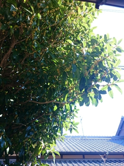 a0116538_11400864.jpg