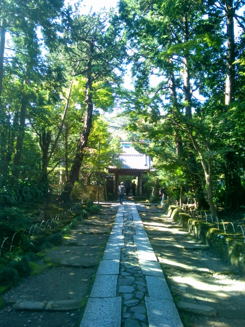 d0107938_1237495.jpg