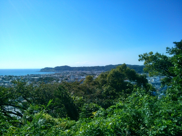d0107938_12383685.jpg