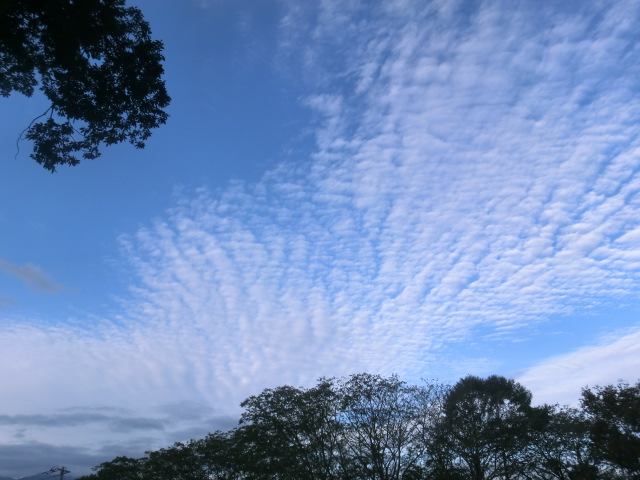 e0082045_1358111.jpg