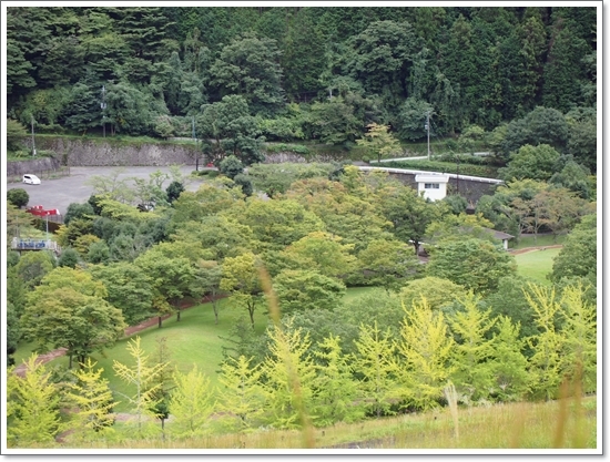 d0013149_00194720.jpg