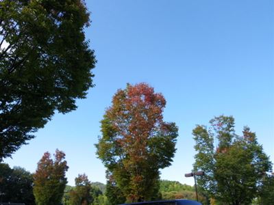 b0220251_18513374.jpg