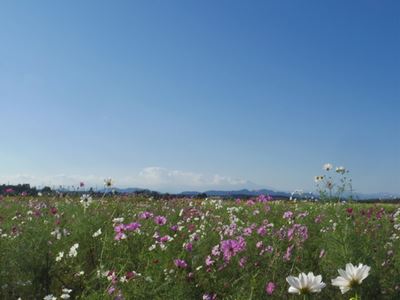 b0220251_5162770.jpg