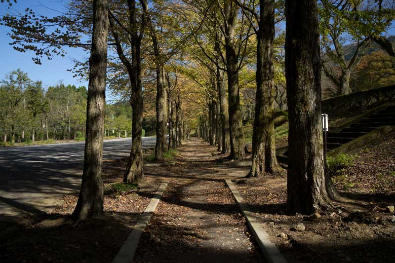 d0342652_11363124.jpg