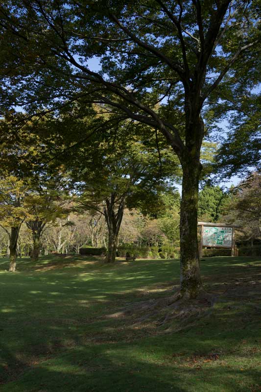 d0342652_11375111.jpg