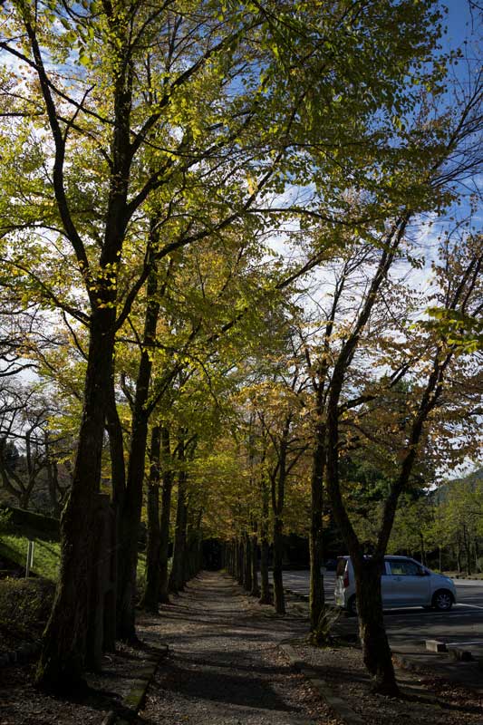 d0342652_11401460.jpg