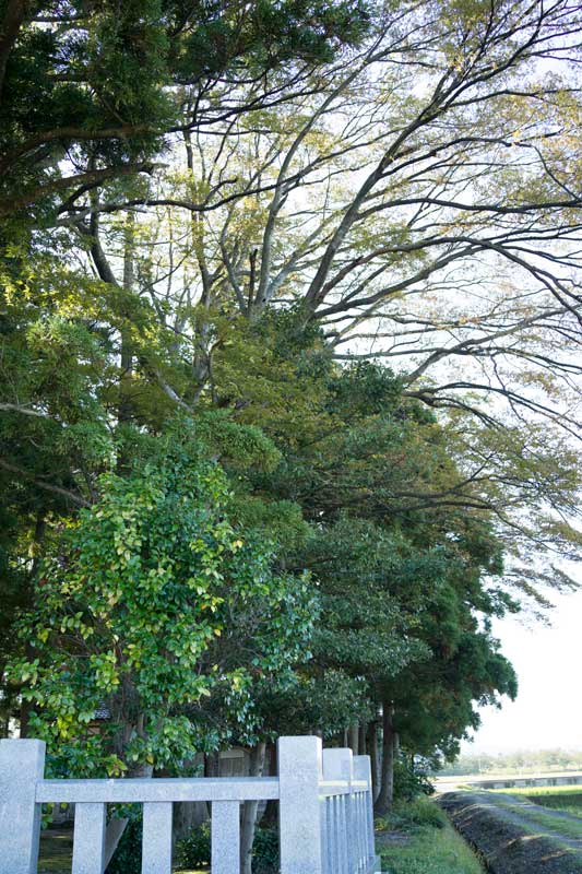 d0342652_1153396.jpg