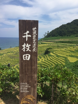 a0124556_2029319.jpg