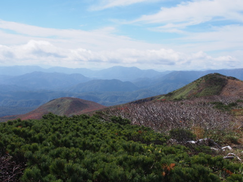 b0335256_11233846.jpg