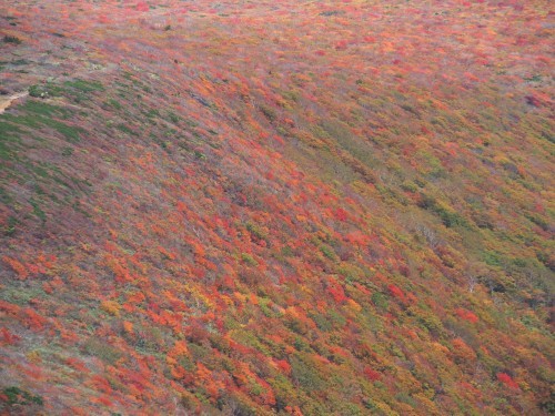 b0335256_11253544.jpg
