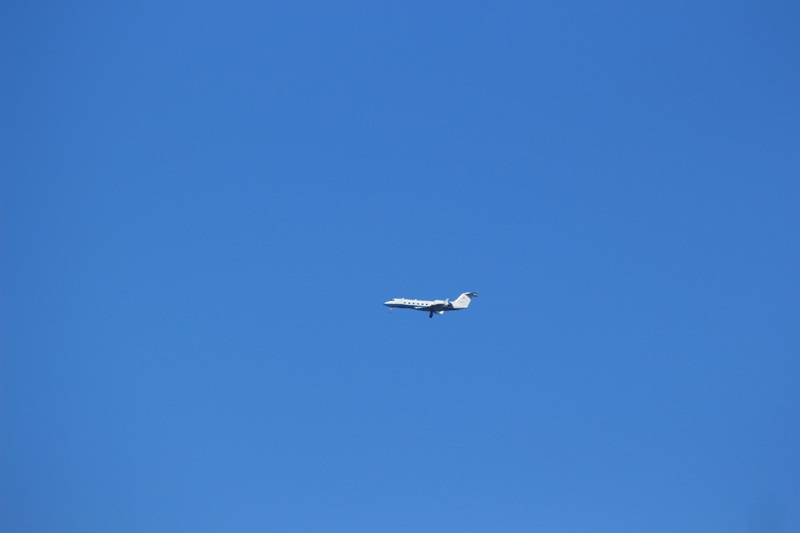 a0167759_22145410.jpg