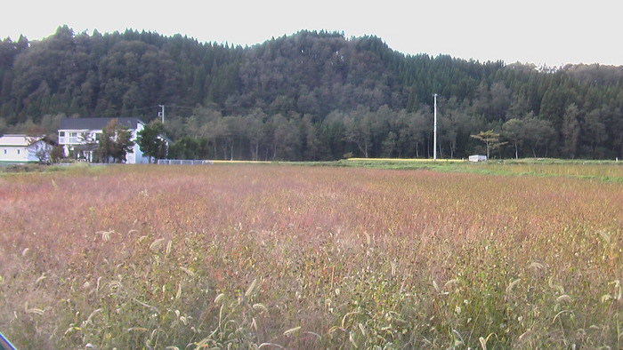b0208961_1523249.jpg