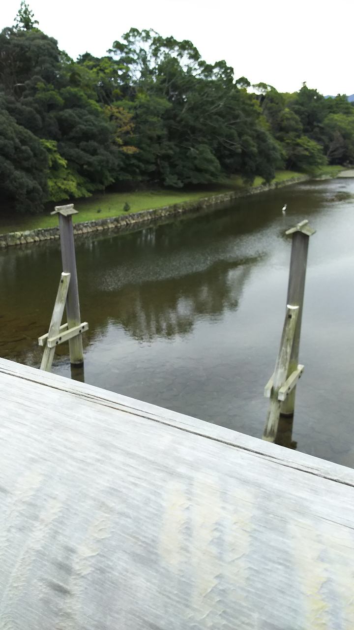 f0374164_16275533.jpg