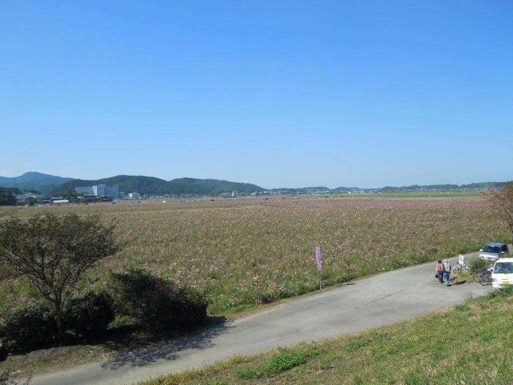 e0107171_5543626.jpg