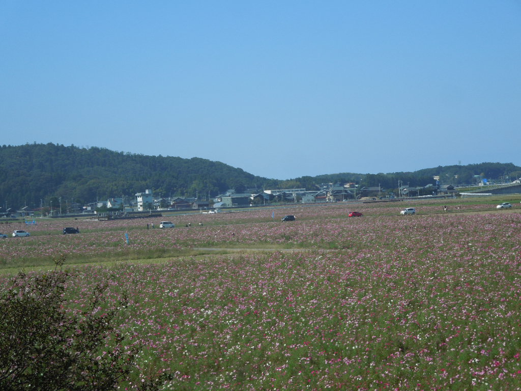 e0107171_5565271.jpg