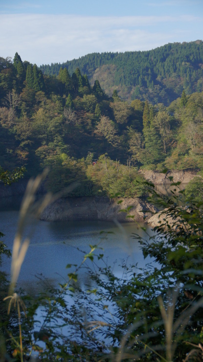a0206577_11312068.jpg