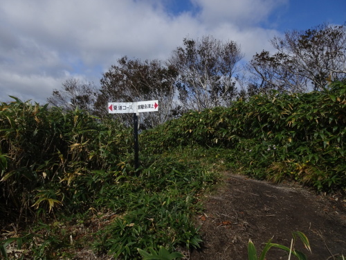 b0354279_01531355.jpg