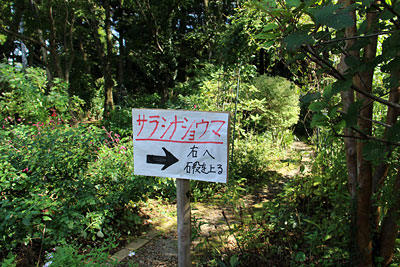 c0152779_12553939.jpg