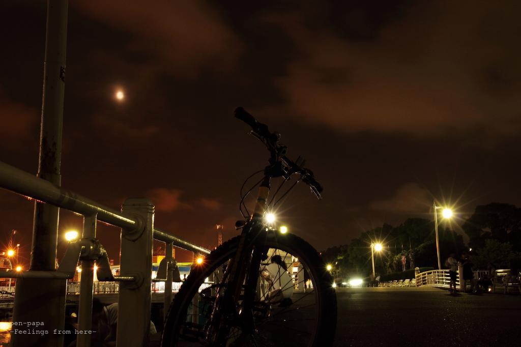 c0356480_20293771.jpg