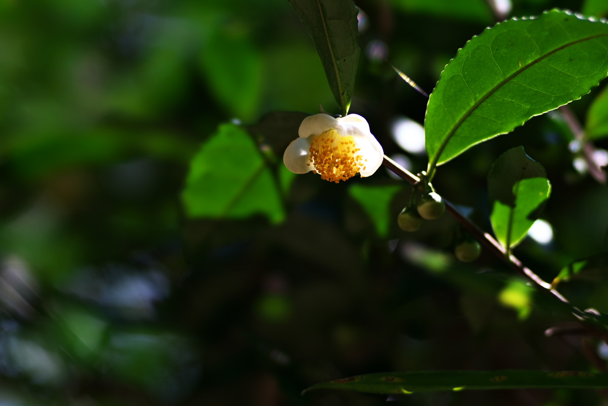 a0083081_20522319.jpg