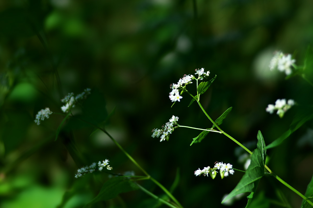 a0083081_20524024.jpg