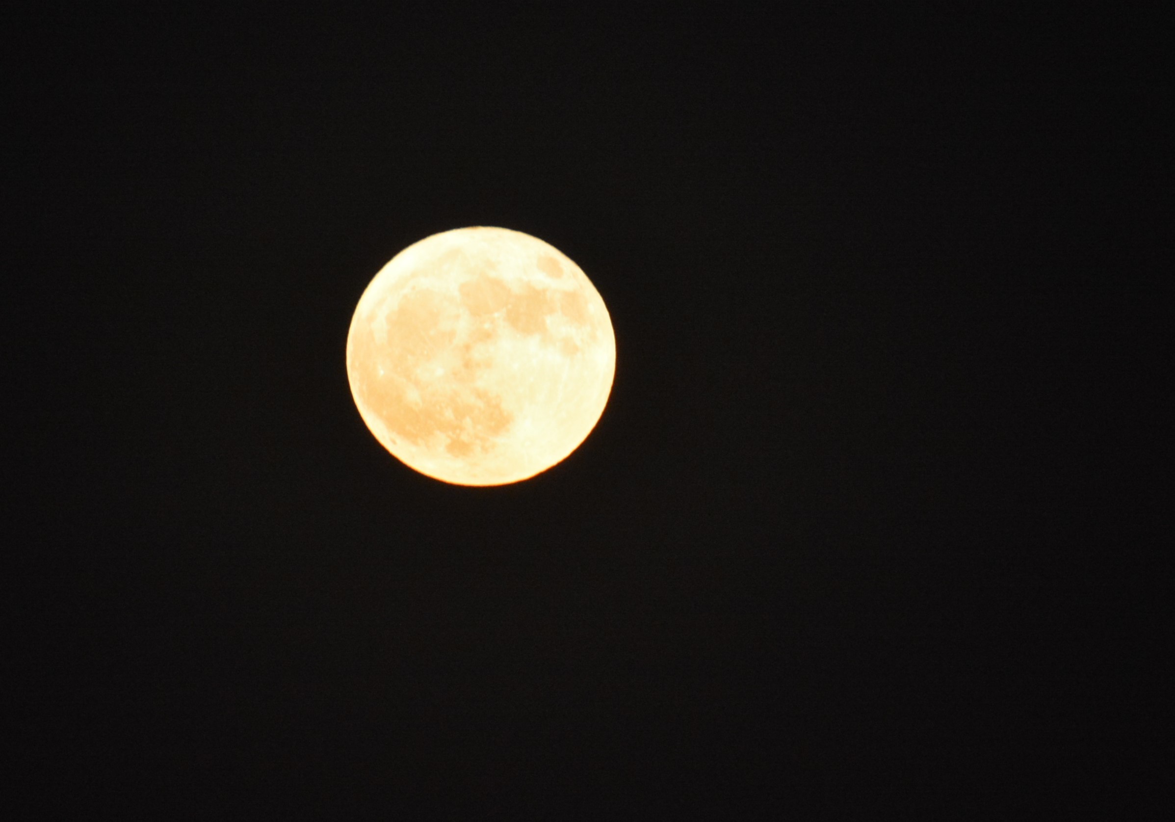 c0204385_09360495.jpg