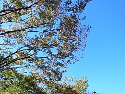 e0155085_20263540.jpg