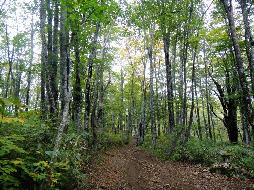 f0372285_22020955.jpg
