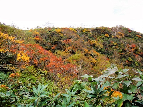 f0372285_22030118.jpg