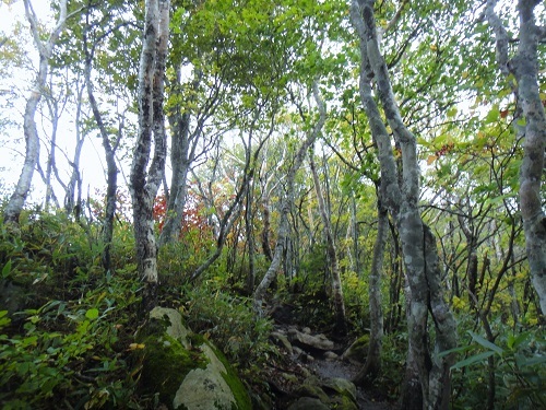 f0372285_22033912.jpg