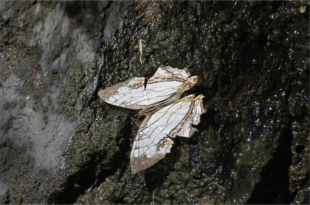 d0209988_21325063.jpg