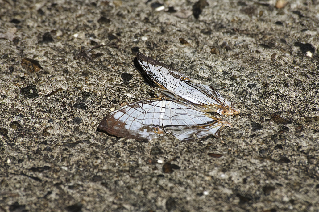 d0209988_21425557.jpg