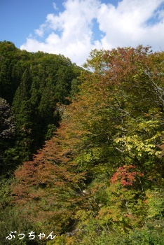 f0353990_09271455.jpg