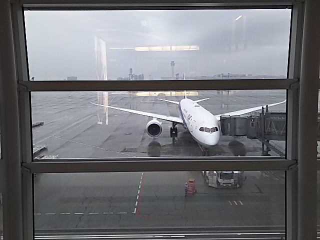 a0229491_8255371.jpg